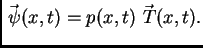 $\displaystyle \vec{\,\psi}(x,t) = p(x,t)\,\vec{\,T}(x,t).$